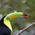 Familiereis Costa Rica